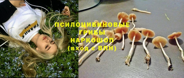 бутират Арсеньев