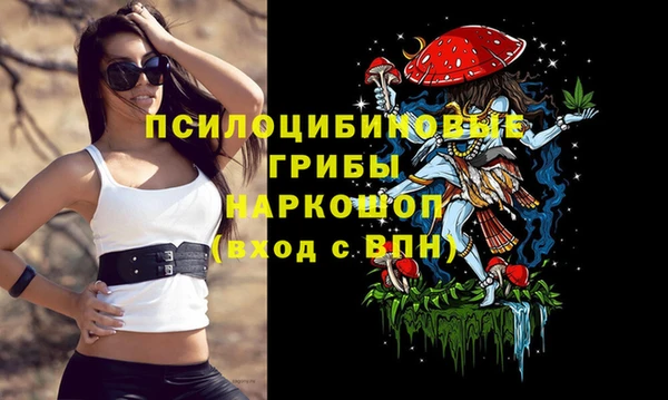 бутират Арсеньев